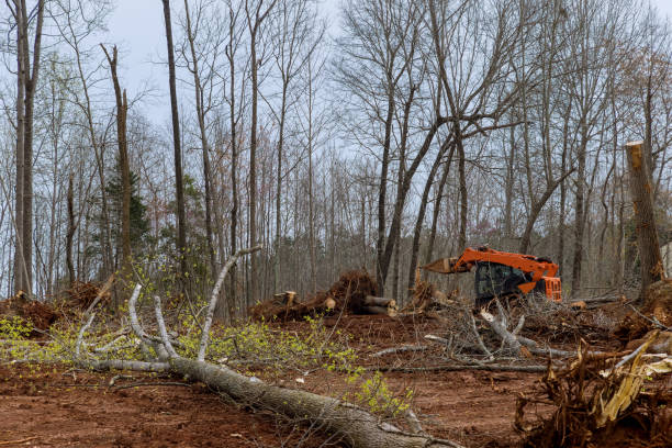 Soil Testing and Treatment in Sherwood, OH